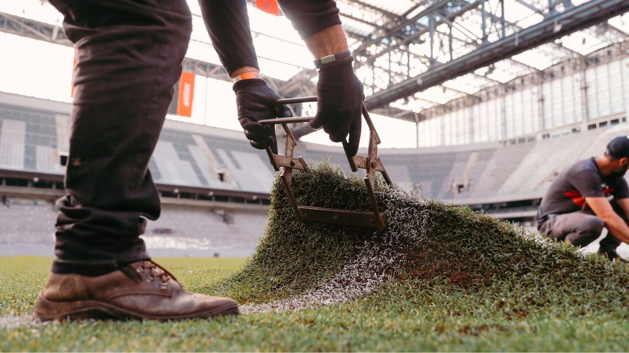 Athletico: Empresa do filho de Petraglia inicia troca do gramado sintético da Baixada